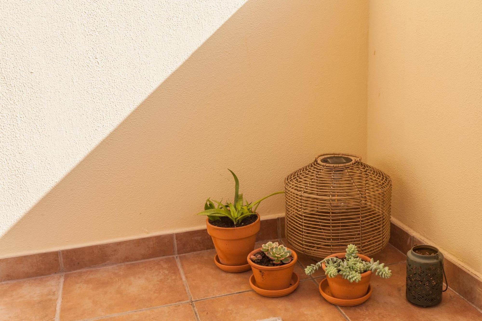 Blue Sky Apartment Funchal  Exterior photo